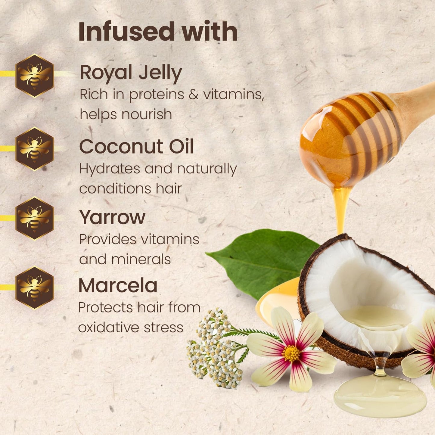 Ultra Hydration Shampoo with Coconut Oil & Royal Jelly, Hydrating & Nourishing for Dry, Damaged Hair, Fights Frizz & Protects from Breakage, 14 Fluid Ounces | Organic Coconut Oil and Royal Jelly, Deep Hydration, Natural Botanical Extracts, anti Hair Loss Shampoo, Gentle Formula